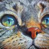 Cat face Diamond Painting Kit - DIY