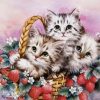 Cat In The Basket Diamond Painting Kit - DIY