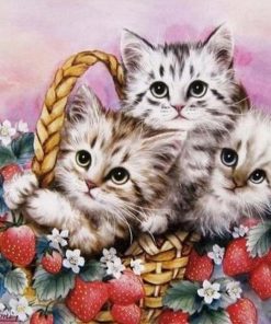 Cat In The Basket Diamond Painting Kit - DIY