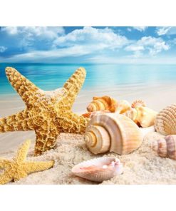 Starfish Diamond Painting Kit - DIY