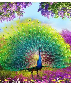 Peacock Wealth And Good Fortune Diamond Painting Kit - DIY