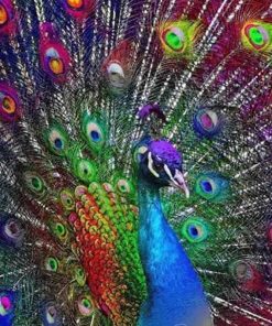 Peacock Home Diamond Painting Kit - DIY