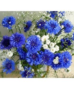 White and blue flowers Diamond Painting Kit - DIY