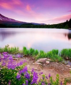 Embroidery Landscape Diamond Painting Kit - DIY