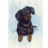 Snow In The Dog Diamond Painting Kit - DIY