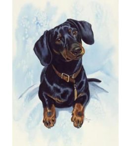 Snow In The Dog Diamond Painting Kit - DIY