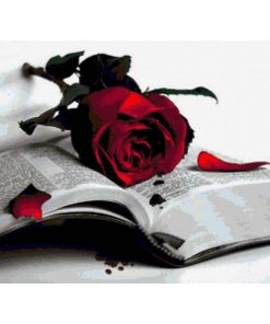 Roses And Books Diamond Painting Kit - DIY