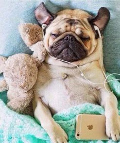 Pugs Listen Music Diamond Painting Kit - DIY