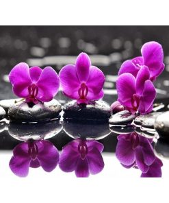 Flower In Water Diamond Painting Kit - DIY