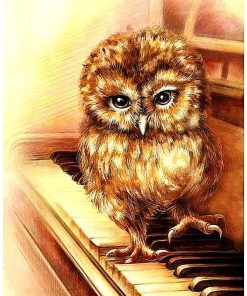 Owl Playing Piano Diamond Painting Kit - DIY