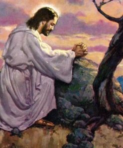 Believers Diamond Painting Kit - DIY