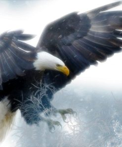 Bald Eagle Diamond Painting Kit - DIY