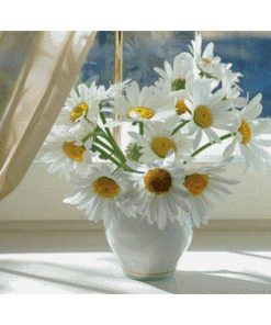 White Daisies Diamond Painting Kit - DIY