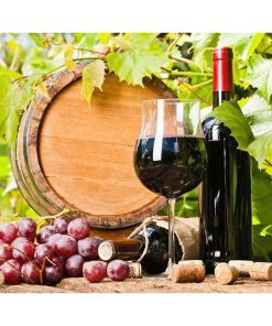 Fruit and wine Diamond Painting Kit - DIY