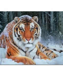 Tiger Diamond Painting Kit - DIY