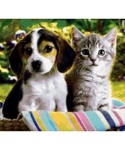 Dog And Cat Diamond Painting Kit - DIY
