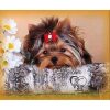 Cute Dog Diamond Painting Kit - DIY