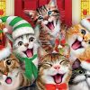 Christmas Cat Diamond Painting Kit - DIY