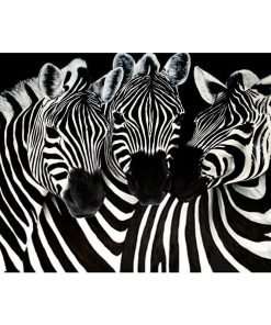Animal Zebra Diamond Painting Kit - DIY