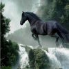 Horse Waterfall Diamond Painting Kit - DIY
