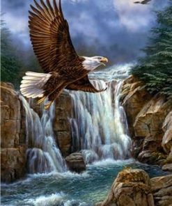 Landscape Eagle Fly Waterfall Diamond Painting Kit - DIY