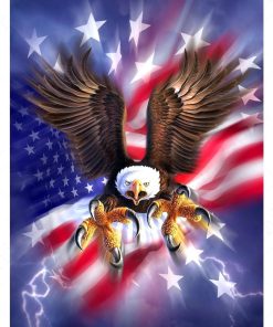 Eagle American Flag Diamond Painting Kit - DIY