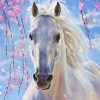 Horse White Blue Diamond Painting Kit - DIY
