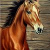 Horse Little Diamond Painting Kit - DIY