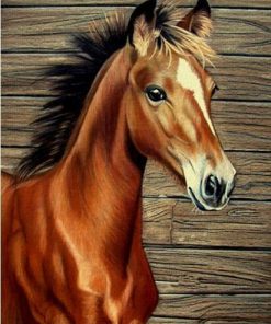 Horse Little Diamond Painting Kit - DIY