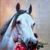 Horses Rose Diamond Painting Kit - DIY