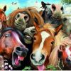Horses Funny Diamond Painting Kit - DIY