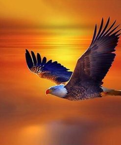 Eagle Orange Sunset Diamond Painting Kit - DIY