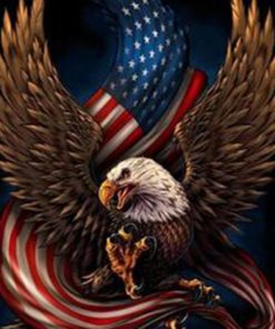 Eagle American Flag Diamond Painting Kit - DIY