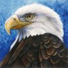 Eagle Calm Diamond Painting Kit - DIY