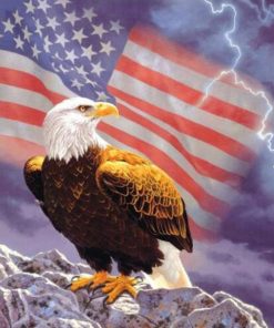Eagles Flag And Thunder Diamond Painting Kit - DIY