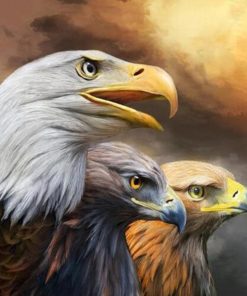 Eagle Brown Black Diamond Painting Kit - DIY