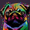 Pug Dog Colors Diamond Painting Kit - DIY