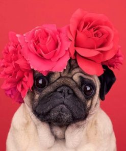 Pug Roses Diamond Painting Kit - DIY