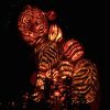Tiger Lights Diamond Painting Kit - DIY