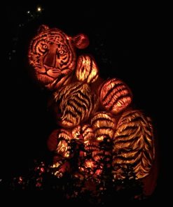 Tiger Lights Diamond Painting Kit - DIY