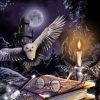 Owl Night Book Diamond Painting Kit - DIY