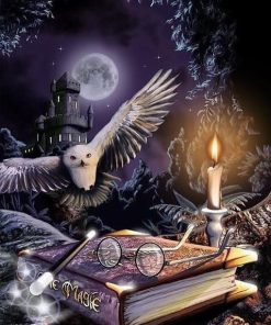 Owl Night Book Diamond Painting Kit - DIY