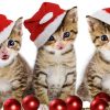Christmas Cat Diamond Painting Kit - DIY