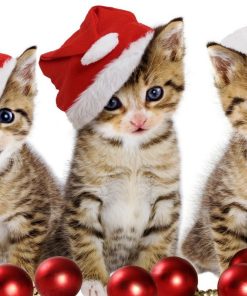 Christmas Cat Diamond Painting Kit - DIY