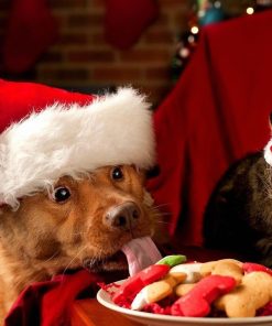 Dog And Cat Christmas Eat Diamond Painting Kit - DIY