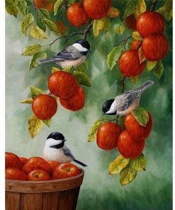Apple Birds Diamond Painting Kit - DIY