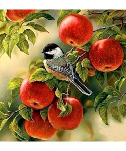 Bird In Apple Diamond Painting Kit - DIY