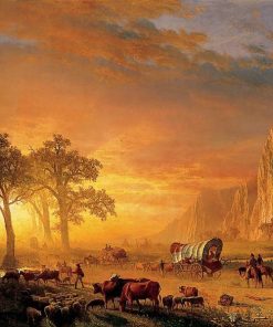 Western Orange Diamond Painting Kit - DIY