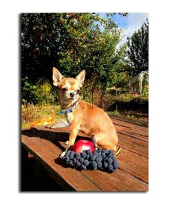 Dog Apple And Grape Diamond Painting Kit - DIY