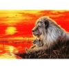 Lion And Baby Diamond Painting Kit - DIY